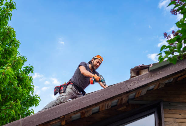 Best Flat Roofing  in Carrington, ND