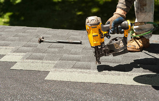 Best Chimney Flashing Repair  in Carrington, ND